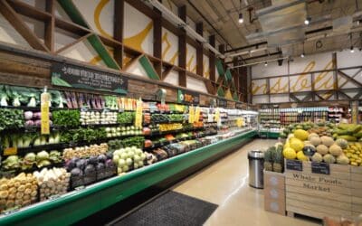 Tiendas de comestibles en el norte de Tampa para compras diarias
