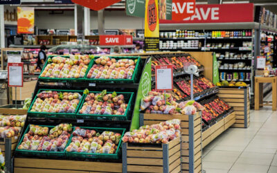 How to Choose the Best Grocery Store in Tampa for Your Family’s Needs