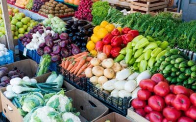 How to Spot the Freshest Produce in Tampa