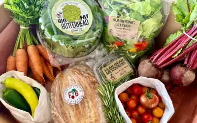 Tampa Grocery Stores: Your Guide to Locally Sourced Groceries to Support Farmers and Eat Fresh