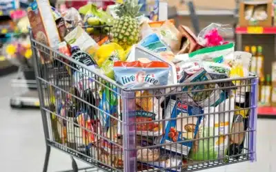 The Best Times to Buy Groceries in Tampa, FL (and When to Avoid the Crowds)