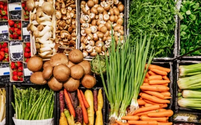 Groceries for Every Diet in Tampa FL: From Keto to Vegan, We’ve Got You Covered