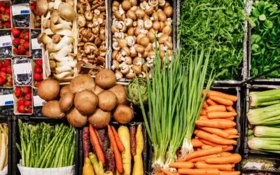 How  Tampa Shoppers Turn Grocery Trips into Family Traditions