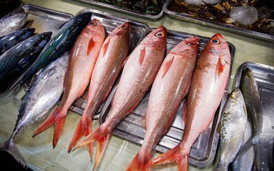 Types of White Fish: The Best Varieties to Look for at the Seafood Counter